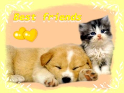 best_friends.jpg
